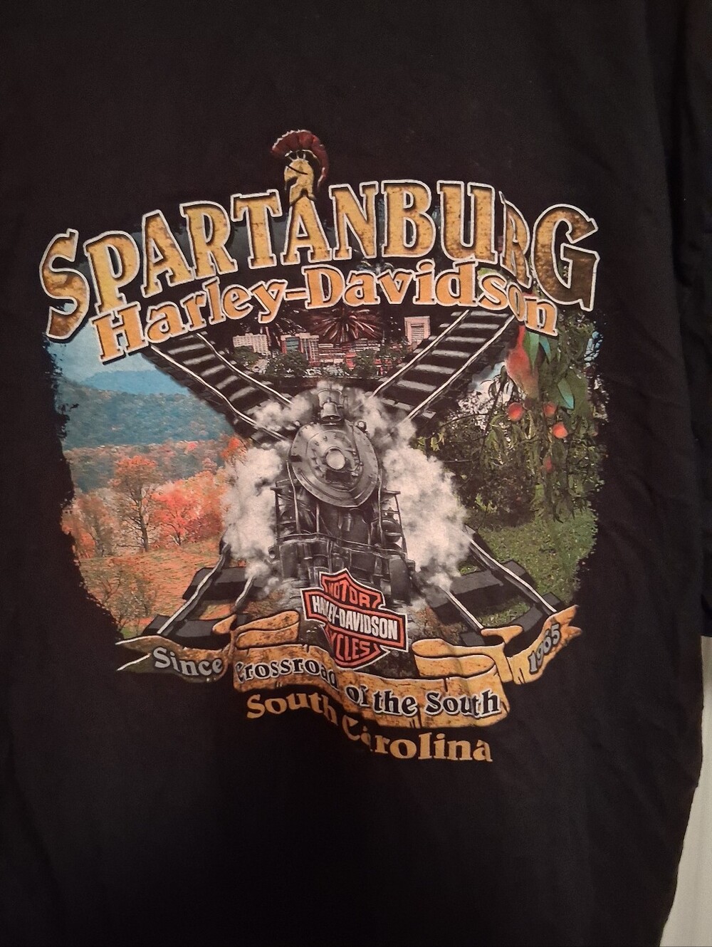 Harley Davidson Shirt